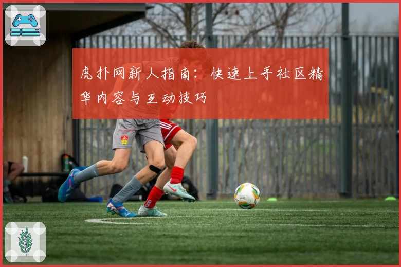 虎扑网新人指南：快速上手社区精华内容与互动技巧