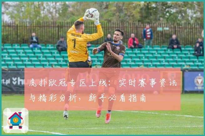 虎扑欧冠专区上线：实时赛事资讯与精彩分析，新手必看指南