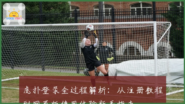 虎扑登录全过程解析：从注册教程到网页版使用体验新手指南